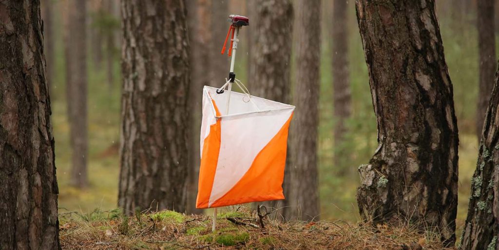 Orienteering Flag