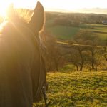 Horse riding POV in the countryside