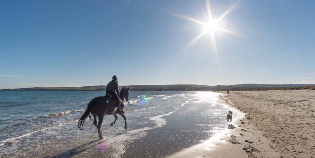 Studland Bay Horse Riding