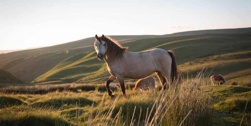 Usk Valley, Carmarthenshire