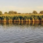 Banner Norfolk Broads