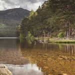 Banner Cairngorms