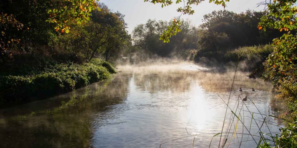 Wandle Trial