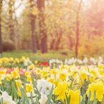 Country Walking: Beadnell