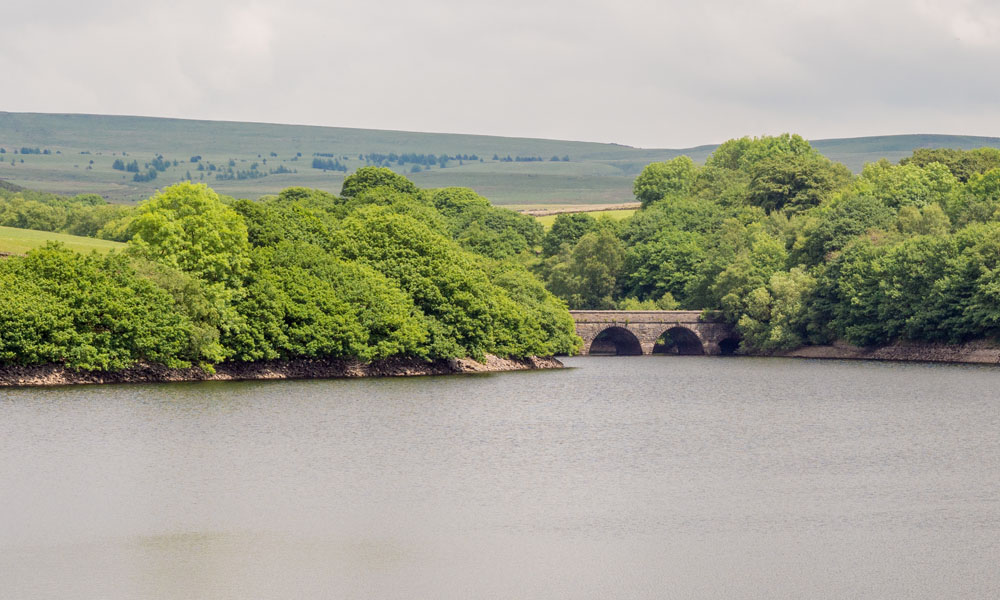 Dog Walking - Rivington Reservoirs
