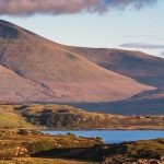 Seal swimming off St Martin’s, Scilly Isles