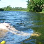 Goring and Pangbourne, River Thames, Berkshire