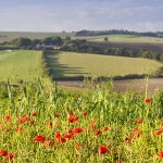 OS Pathfinder Guides