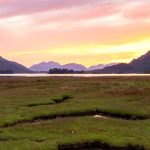 Banner image for OS Wallpaper Download: July 2023 banner image