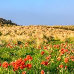 areas-of-natural-beauty-hero.2459c66550e35ba20830f8037c980982