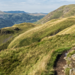 bdo_hero.dfb116b24fe1749d7b8d7d2da6a64dab