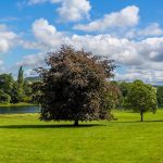 britains-largest-parks-hero.2459c66550e35ba20830f8037c980982