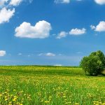 countryside-code-hero.2459c66550e35ba20830f8037c980982