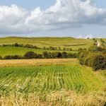 dream-hike-banner2.2459c66550e35ba20830f8037c980982