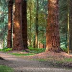 guide_gravel_biking_hero1.d635ad0f1f03d16ac80ae9884a3c9df0