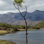 nc500_best_walks_hero2.d635ad0f1f03d16ac80ae9884a3c9df0