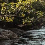 scotland-waterfalls-hero.2459c66550e35ba20830f8037c980982