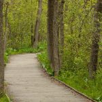 stile_free_accessible_walks_hero.d635ad0f1f03d16ac80ae9884a3c9df0