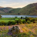 walking-books-guides-hero.2459c66550e35ba20830f8037c980982