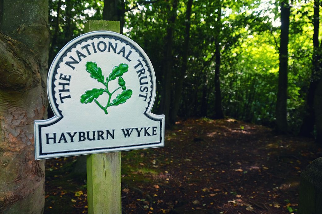 Hayburn Wyke Walk  - Image: Tony Bartholomew / NYMNPA