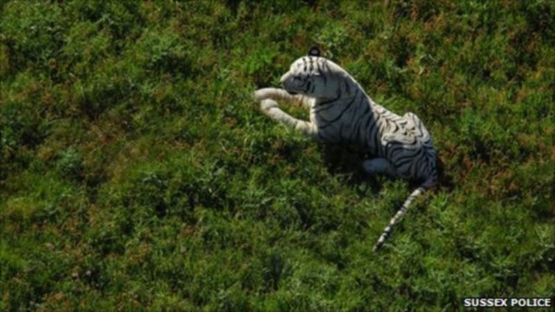 A toy tiger left in a field 