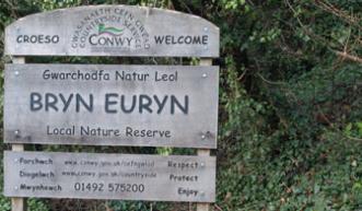 Bryn Euryn sign