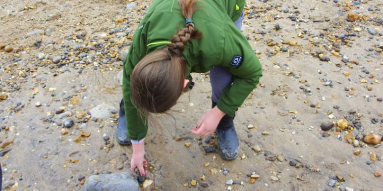 A child looking for fossils on the beach