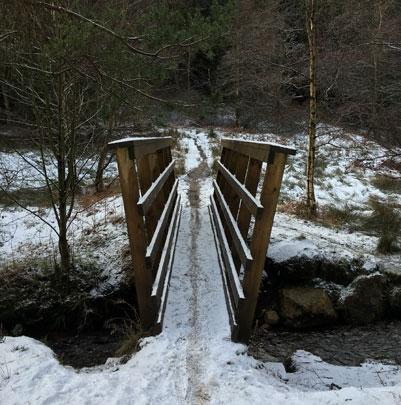 Narrow wooden footbridge