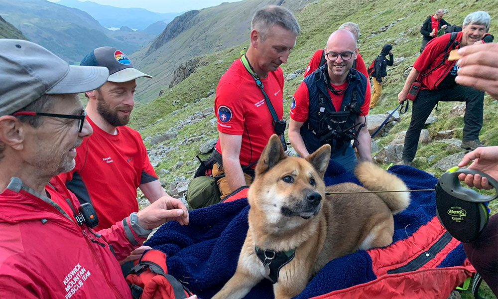 Mountain Rescue England and Wales dog rescue 