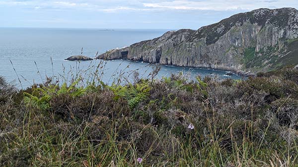 Caegybi Holyhead circular walk - rugged cliffs