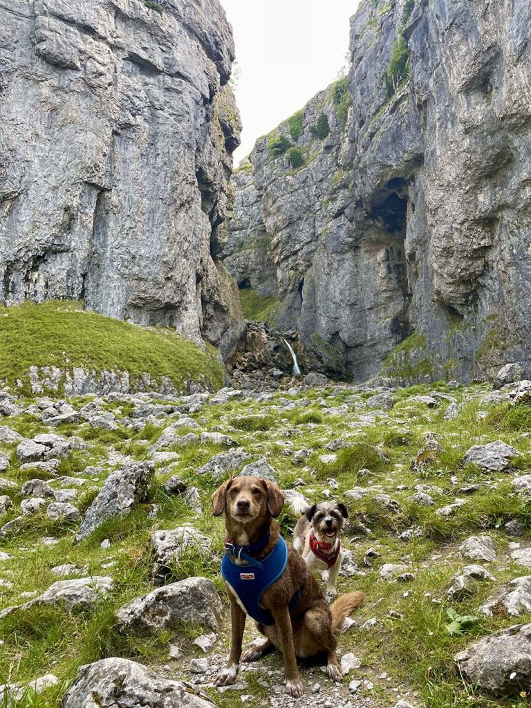 sunrise view - 'Andrea's two dogs, Betty and Willow, in from of two sheer rock cliffs known as Malham Cove.'_Andrea Day_Malham Cove