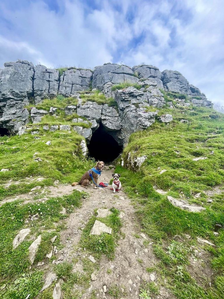 sunrise view - 'Yorkshire's Jubilee cave with two dogs sat in front of the entrance.'_Andrea Day_Jubilee and Victoria Caves_jubilee cave