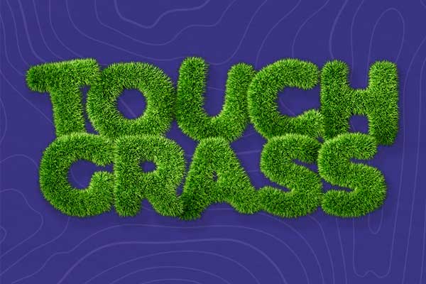 touch grass