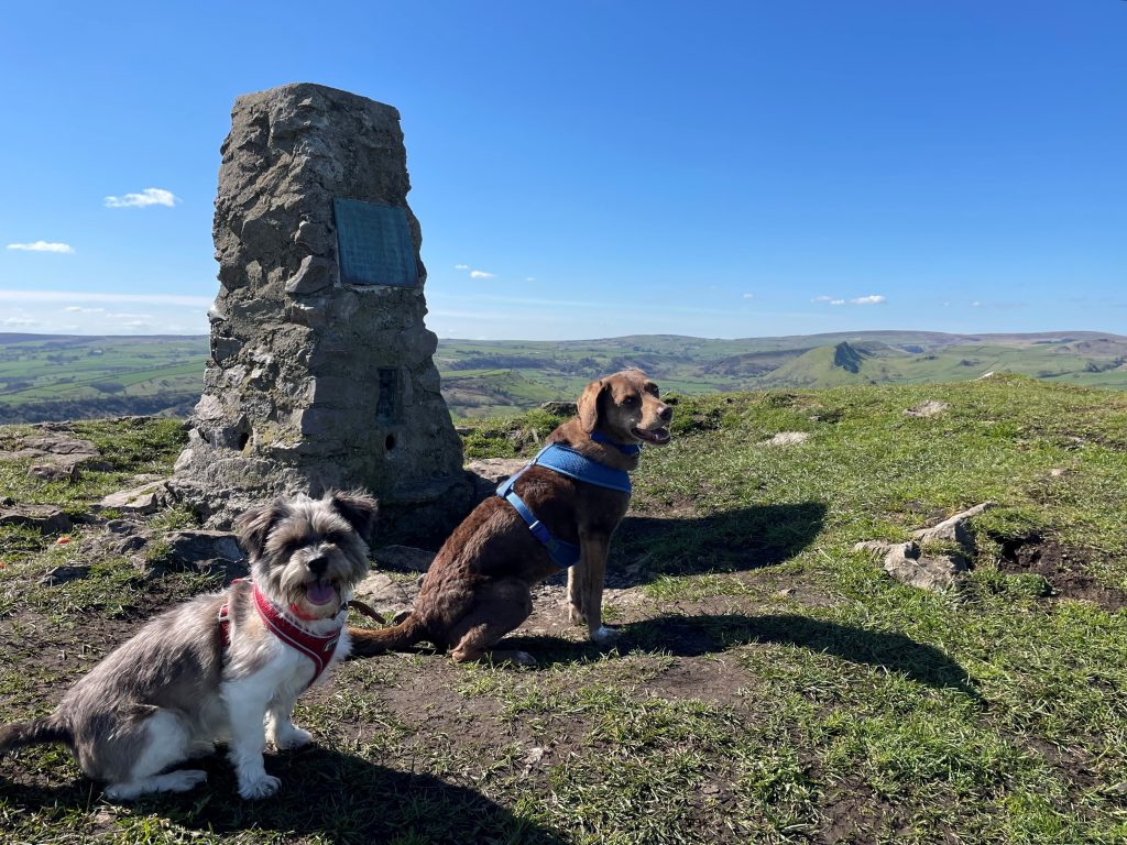 High Wheeldon Trig Point with Dogs Andrea Day