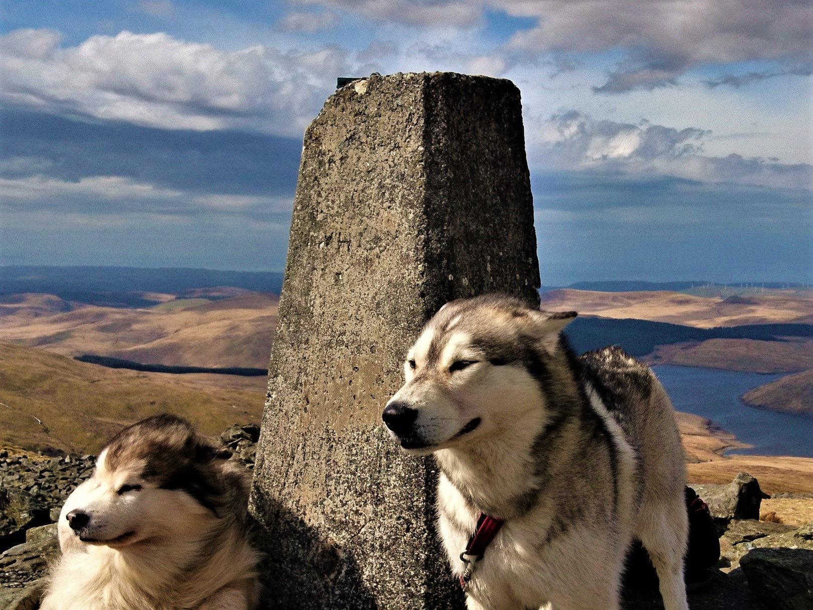 Pumlumon Fawr Trig Point