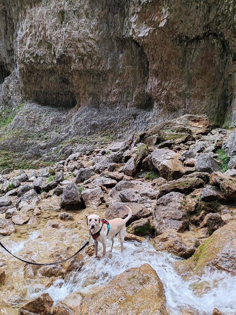 gordale scar with labrador