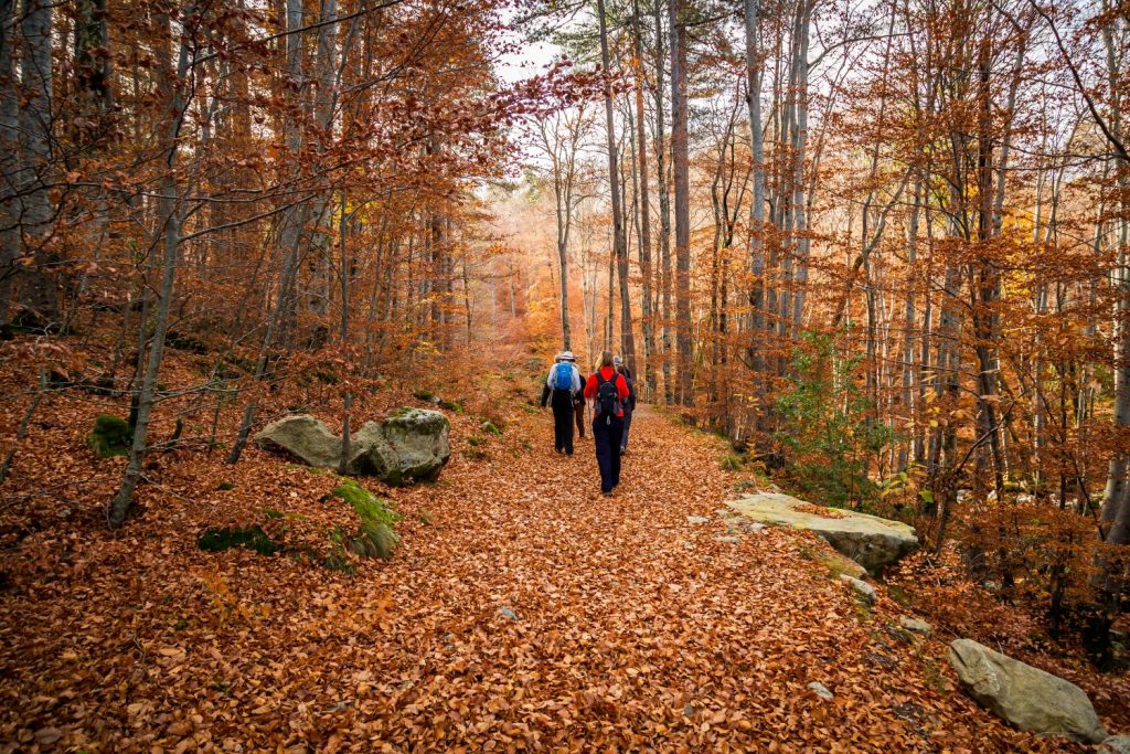 autumn hiking tips