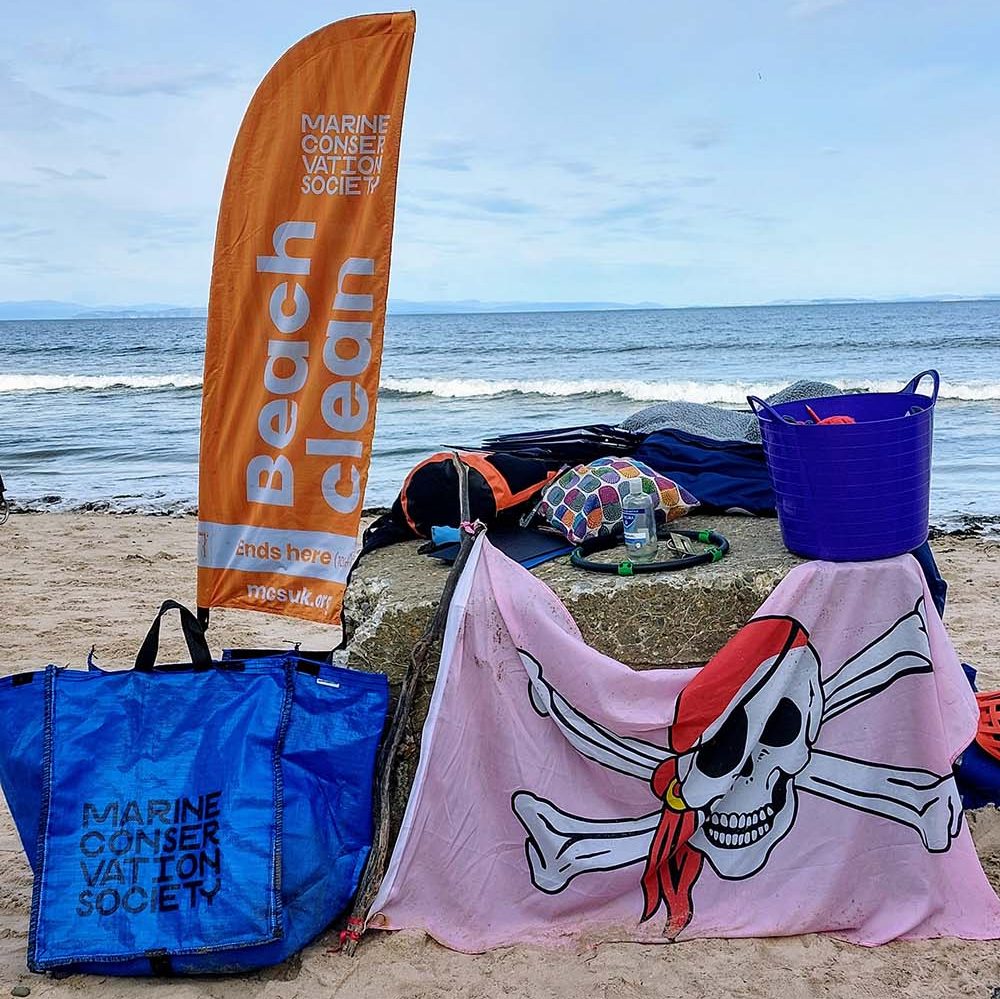 eco adventure - litter picking on the beach