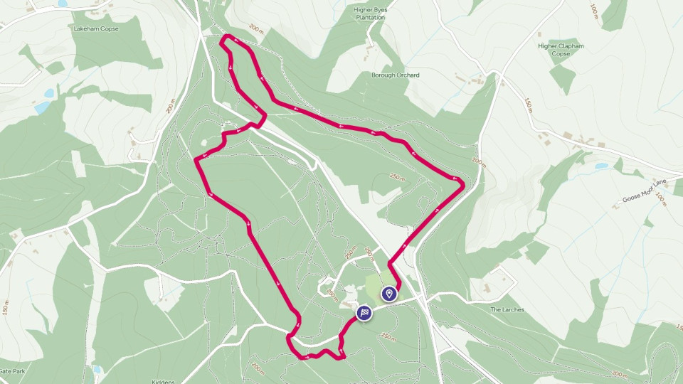 Haldon Forest map