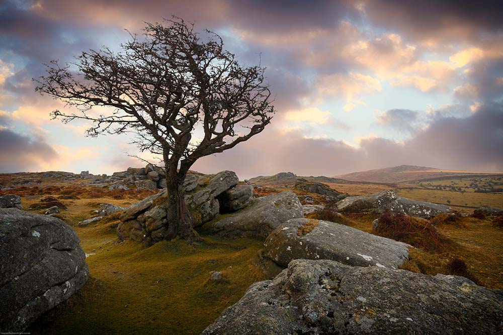 saddle tor in dartmoor national park devon england uk at sunset