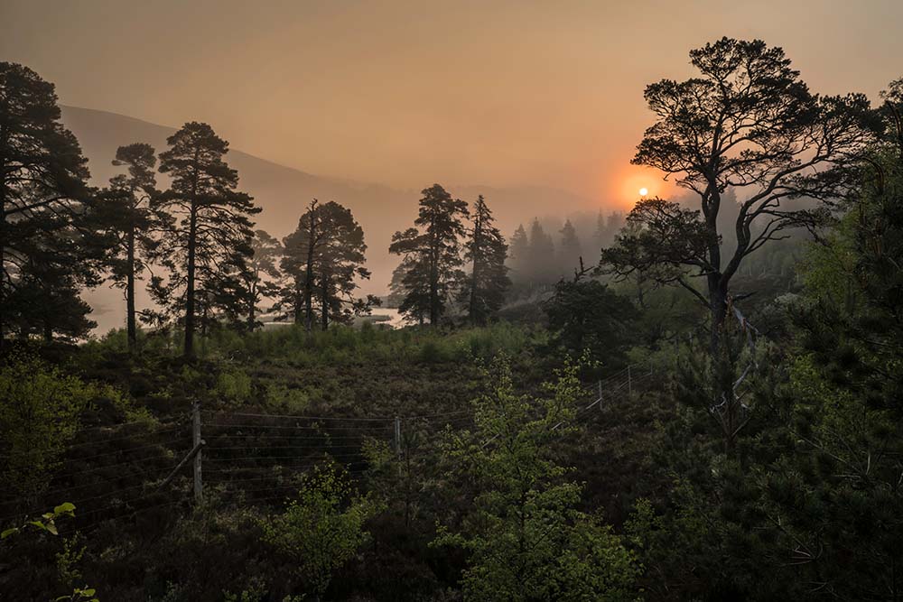 Glen Affric