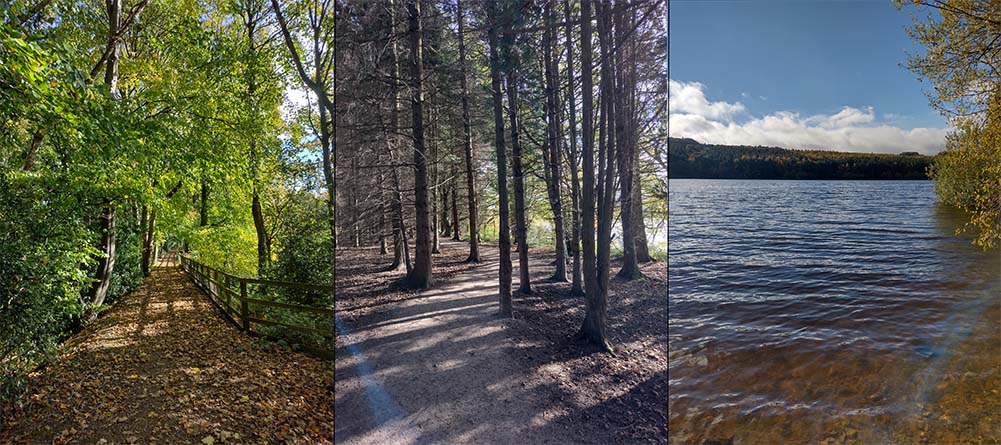 Three pictures of a autumnal path, a path through firs, and the reservoir water