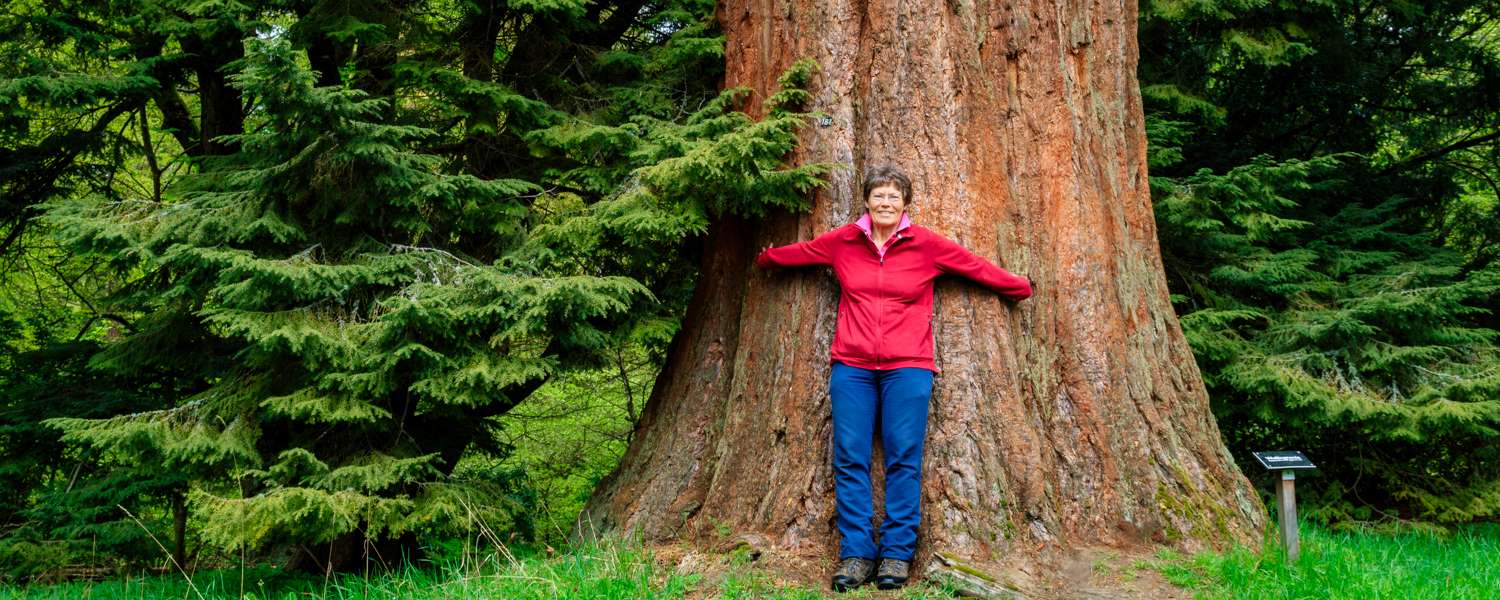 Felicity Martin Outstanding Walks in Scotland - felicity and a tree