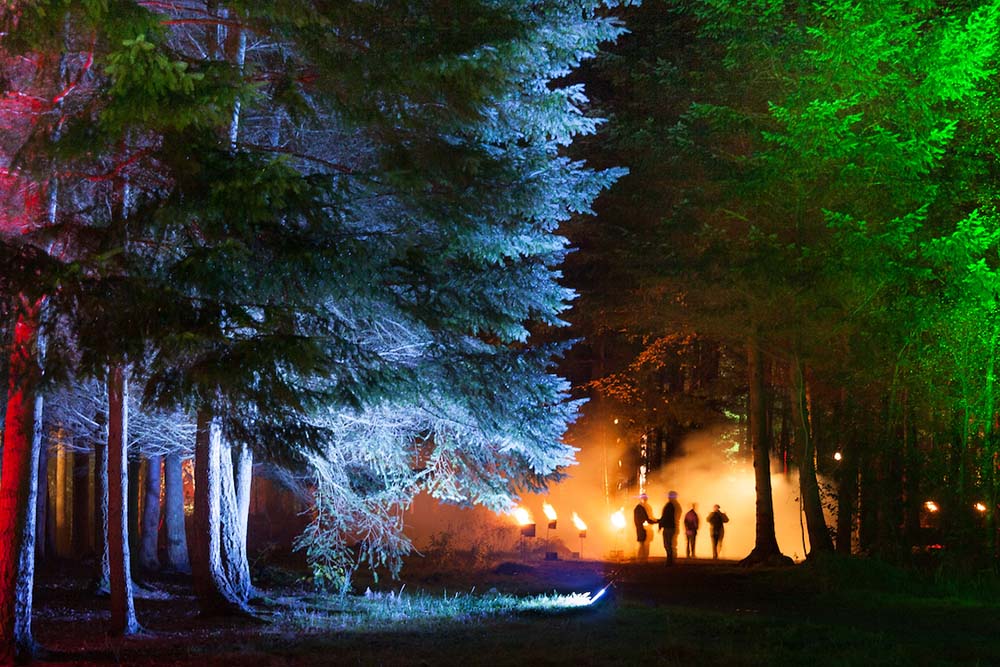 The Enchanted Forest at Faskally Wood, Pitlochry 