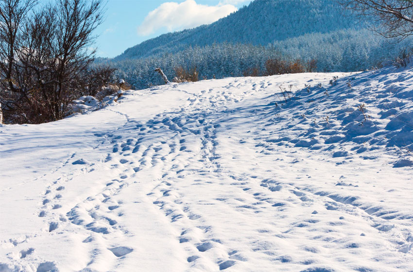 Snowy path with footprint showing where people have walked in the snow