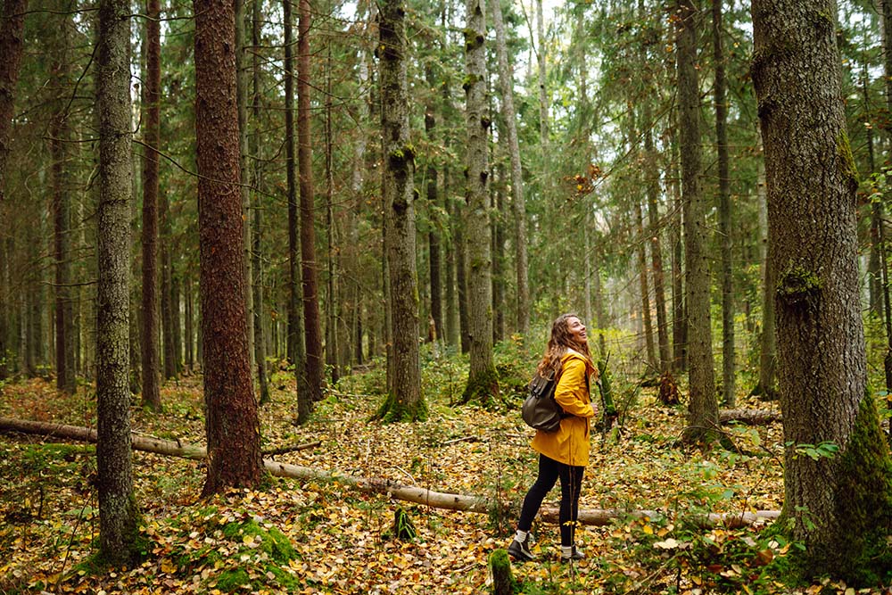 Young woman walks through a pine forest, restoring health