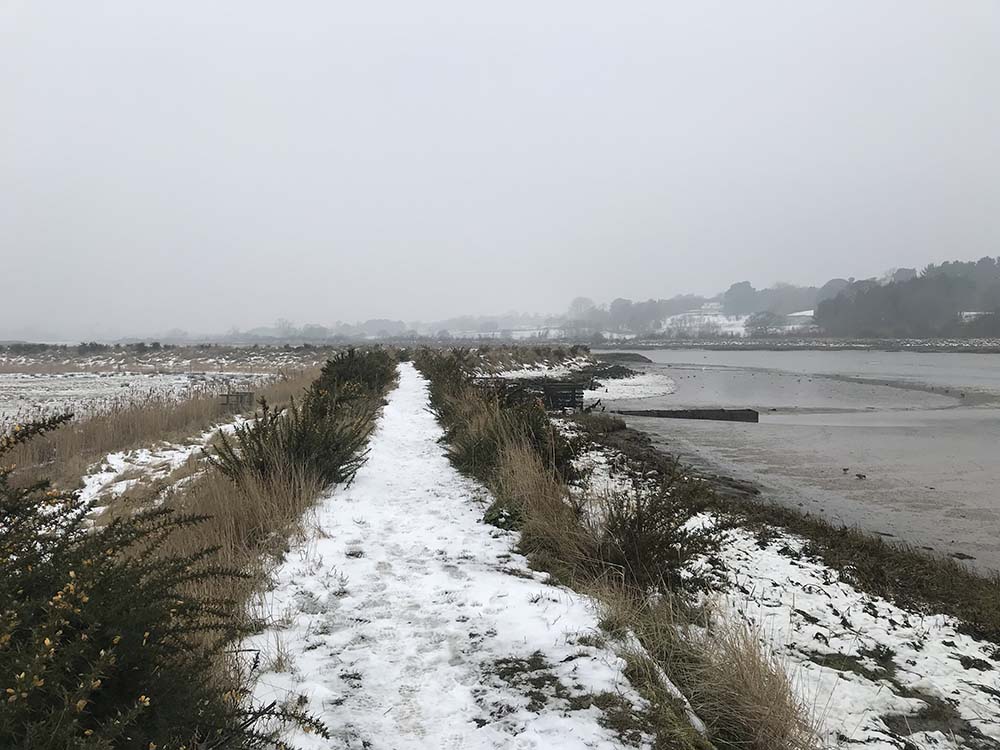 Waldringfield Festive Walk from OS Champion Tom Wake