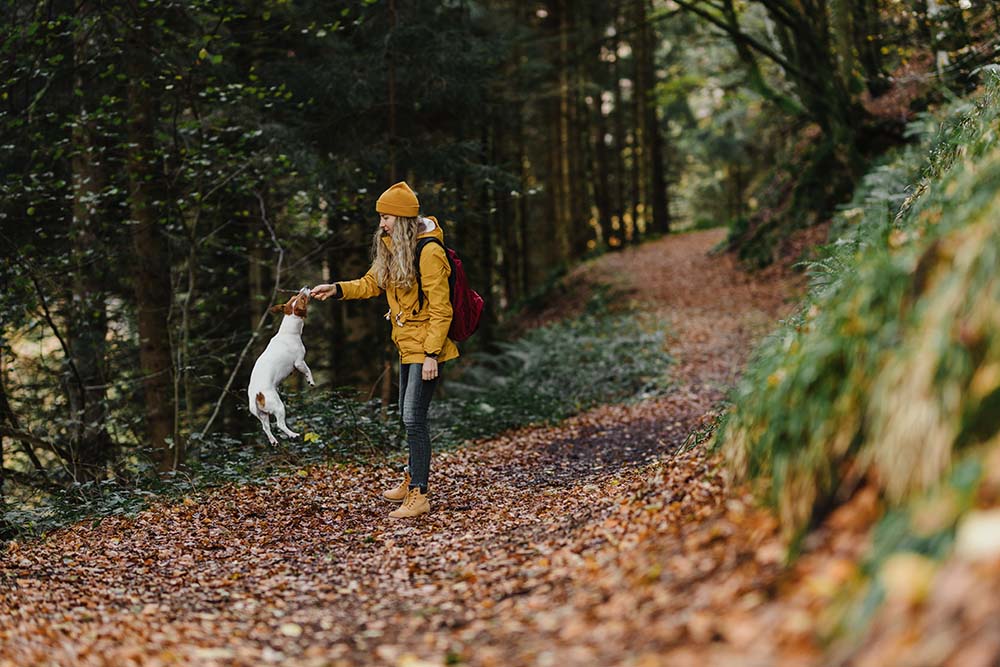 Hiking outside with dog