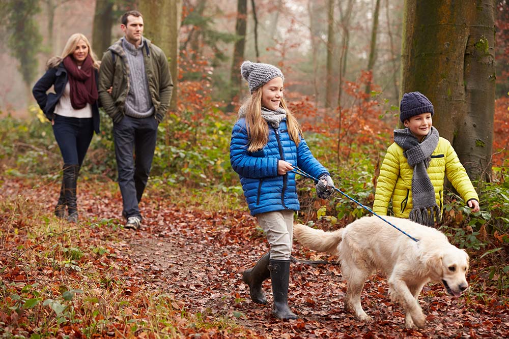 Family Walking Dog Through Winter Woodland