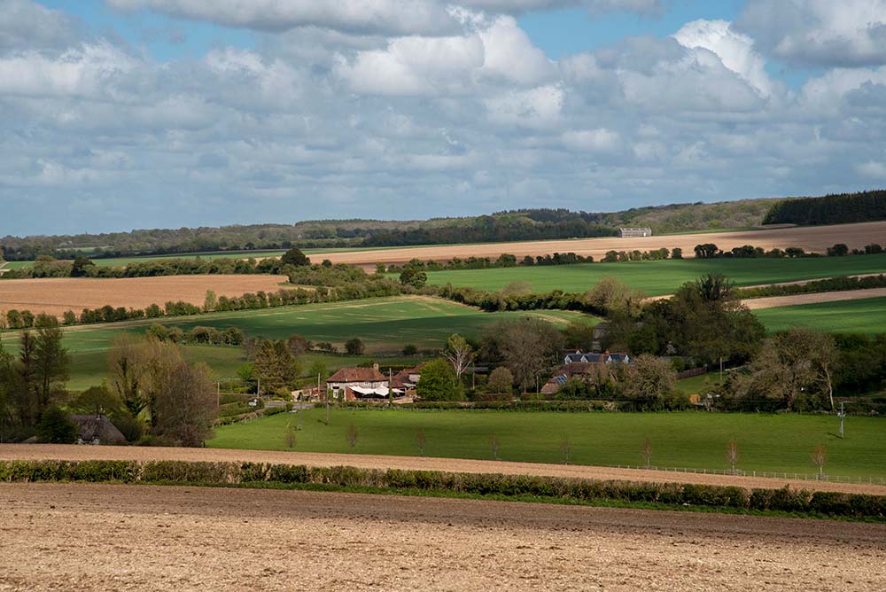 Hampshire, England, UK. 2021. Patchwork of fields in the Hampshire countryside at Totford south of Basingstoke at Springtime.